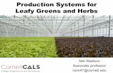 Production Systems for Leafy Greens and Herbs...Production Systems for Leafy Greens and Herbs Neil Mattson Associate professor. nsm47@cornell.edu