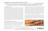 PUBLICATION 444-502 Subterranean Termite Biology and … · 2016-01-07 · 2 Subterranean Termite Castes Primary Reproductives As described above, mature subterra-nean colonies, at