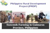 Philippine Rural Development Project (PRDP)eascongress.pemsea.org/sites/default/files/file... · Philippine Rural Development Project Geo-Tagging: An Innovative Tool to Enhance ...