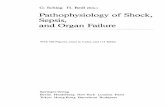 G. Schlag H. Redl Pathophysiology of Shock, …G. Schlag H. Redl (Eds.) Pathophysiology of Shock, Sepsis, and Organ Failure With 540 Figures, some in Color, and 115 Tables Springer-Verlag