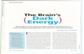 The Brain's Dark Energy...information from the senses actually reaches the brain's internal processing areas. Visual in formation, for instance, degrades significantly as it passes