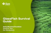 GlassFish Survival GuideUseful asadmin commands list-domains list-jndi-entries create-domain start-domain stop-domain deploy deploydir start-domain --verbose [domain-name]>All available