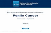 NCCN Clinical ractice Guidelines in Oncology (NCCN ......Version 2.2019, 05/13/19 © 2019 National Comprehensive Cancer Network ® (NCCN ), All rights reserved. The NCCN Guidelines®