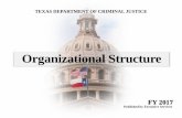 Organizational Structure - Texas Department of Criminal ...Organizational Structure TEXAS DEPARTMENT OF CRIMINAL JUSTICE Published by Executive Services FY 2017 . ... General Organizational