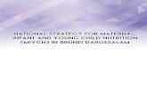 NATIONAL STRATEGY FOR MATERNAL, INFANT …...mental development and long-term health. The aim of this National Strategy for Maternal, Infant and Young Child Nutrition (MIYCN) in Brunei
