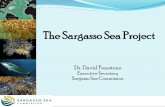 The Sargasso Sea Project · Sargasso Sea Commission Independent Science- based body composed of distinguished scientists and others of international repute. (Meets virtually) Sargasso