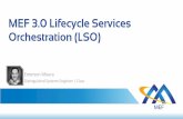 S05 MEF 3.0 Lifecycle Services Orchestration · • Orchestration across multiple service providers • Orchestration over multiple network technology domains • Specifications and