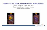 “BRAF and MEK Inhibition in Melanoma” - Medscapeimg.medscape.com/images/826/244/826244_slide.pdf · 2014-06-09 · BRAF V600 Mutant melanoma- Precision Medicine % change from