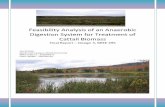 Feasibility Analysis of an Anaerobic Digestion …...Feasibility Analysis of an Anaerobic Digestion System for Treatment of Cattail Biomass Final Report – Design 3, BREE 495 12/3/2010