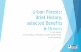 Urban Forests: Brief History, selected Benefits & …Urban Forests: Brief History, selected Benefits & Drivers Dr John Symons Victoria Institute for Strategic Economic Studies (VISES)