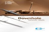 Seismic tools - Sercel · MaxiWave is the most cost effective digital multi-level downhole seismic array available on the market for very large sized downhole seismic surveys. With