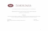 UNIVERSITÀ DEGLI STUDI DI ROMA “LA SAPIENZA”...1 UNIVERSITÀ DEGLI STUDI DI ROMA “LA SAPIENZA” Optimization of the speed of trains on the critical segments Academic year 2016/2017