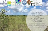 An emerging tool to assess Peat loss and Marsh ... Poinciana/Wednesday/1435...AN EMERGING TOOL TO ASSESS PEAT LOSS AND MARSH VULNERABILITY IN THE FLORIDA EVERGLADES Lukas Lamb-Wotton,
