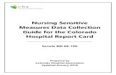 Nursing Sensitive Measures Data Collection Guide for the ... · Nursing Care Hours per Patient Days (HPPD) Nursing care hours per patient day measures the supply of nursing staff
