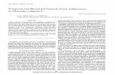 Temporal HormonalControl -1,3-Glucanase Phaseolus vulgaris L. · Comparison between colorimetric and viscometric assays for,B-1,3-glucanase. For the laminarin assay 0.5 ml of2%c laminarin