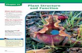 Chapter 23: Plant Structure and Functionmrmaysclass.weebly.com/uploads/8/6/7/9/8679323/chap23.pdf · the structure and functions of roots, stems, and leaves. You will identify plant