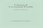 Classical Covariant Fields - Объединенный …inis.jinr.ru/sl/P_Physics/PC_Classical physics/PCft...Classical Covariant Fields This book discusses the classical foundations