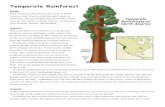 Temperate Rainforests - The Exploring Nature Educational ...Temperate rainforests have a long growing season, though unlike tropical rainforest, they do have a change of seasons. Temperatures