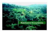 Lecture 19- Rain Forestspujana/latin/PDFS/Lecture 19- Rain Forests.pdfTemperature and Altitude Average for tropical rainforest = 25° C (77° F) Minimum = 18° C (64° F) Average difference
