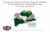 Maine Breeding Bird Atlas Volunteer Handbook 2018-2022 · 2020-01-09 · 2 Maine Breeding Bird Atlas Volunteer Handbook BACKGROUND & OVERVIEW Bird atlases have been conducted worldwide