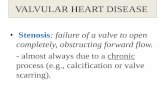 VALVULAR HEART DISEASE - JU Medicine · 2018-11-14 · VALVULAR HEART DISEASE •Stenosis: failure of a valve to open completely, obstructing forward flow. - almost always due to