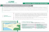 Comisión Federal de Electricidadaplicaciones.cfe.gob.mx/tm/fichas/ES/FTChicoasenIIES.pdf · Central Hidroeléctrica Chicoasén II Para satisfacer la demanda de energía eléctrica