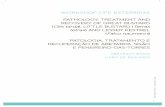 WORKSHOP LIFE ESTEPÁRIAS PATHOLOGY, TREATMENT AND RECOVERY … · 2019-05-24 · workshop life estepÁrias pathology, treatment and recovery of great bustard (otis tarda), little