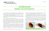 Biology and Management - Insects in the City · 2017-12-21 · 3 Cockroach biology Cockroaches have a three-stage life cycle: egg, nymph, and adult. Mature females produce 12 to 36