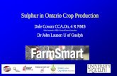Sulphur in Ontario Crop Production - FarmSmart...Sulphur in Soil • There is a sulphur cycle that runs much like the Nitrogen cycle • It transforms sulphur containing materials