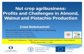 Nut crop agribusiness: Profits and Challenges in …...Nut crop agribusiness: Profits and Challenges in Almond, Walnut and Pistachio Production Zviad Bobokashvili The Scientific-research