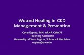 Wound Healing in CKD Management & Preventionannualdialysisconference.org/wordpress/wp-content/themes/adc/2016_Handouts/Espina...Wound Healing in CKD Management & Prevention Cora Espina,