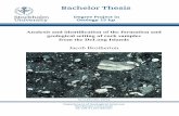 Bachelor Thesis · 2018-06-08 · ‘Microline granite, gneiss, and micropegma tite clasts were reported from the upper half of the tuffaceous gritstone-sandstone unit. The whole
