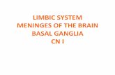 LIMBIC SYSTEM MENINGES OF THE BRAIN BASAL GANGLIA CN Iimul.umlub.edu.pl/en/system/files/Presentation - Neuroanatomy - Limbic... · MENINGES OF THE BRAIN BASAL GANGLIA CN I THE LIMBIC