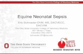 Equine Neonatal Sepsis Equine Neonatal Sepsis Eric Schroeder DVM, MS, DACVECC, ... predicted sepsis