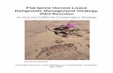 Flat-tailed Horned Lizard Rangewide Management Strategy ......Flat-tailed Horned Lizard Rangewide Management Strategy, 2003 Revision 2 Figure 1. Comparative views of Phrynosoma mcallii
