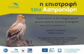 Assessment of the illegal use of poison baits in Greece ...lifeneophron.eu/download/pages/332/2_Assessment_of... · Assessment of the illegal use of poison baits in Greece & Bulgaria