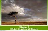 Chapter 4 Global Climates and Biomes...Ocean Currents • Ocean currents are driven by a combination of temperature, gravity, prevailing winds, the Coriolis effect, and the locations