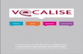 Debate Speak Advocate Communicate - Gray's Inn · The Vocalise format rewards good teamwork in developing arguments of excellent depth and quality as well as argumentation from different