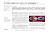 Research Paper : Distribution of entomopathogenic ...Distribution of entomopathogenic nematodes in natural habitats L.S. VANITHA, MANJU KUMARI, J. JAYAPPA AND S.C. CHANDRASHEKAR International