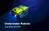 Underwater Robots - uni-hamburg.de · 2014-01-14 · 5 Introduction Underwater Robots today: Unmanned underwater vehicles/robots Introduced for commercial use in the 1970's Used in