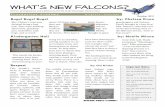 What’s New Falcons?foundationslibrary.weebly.com/uploads/3/3/7/4/3374188/newspaper10_2011.pdfBeware: Percy’s comin’! Page 2 What’s New Falcons? I’m here with Daniel and Makenna