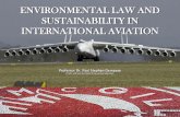 ENVIRONMENTAL LAW AND SUSTAINABILITY IN INTERNATIONAL AVIATION · 2015-10-27 · ENVIRONMENTAL LAW AND SUSTAINABILITY IN INTERNATIONAL AVIATION Professor Dr. Paul Stephen Dempsey
