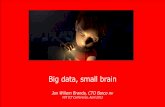 Big data, small brain - MIT-Industry-Homeilp.mit.edu/images/conferences/2013/ict/presentation/brands.pdf · Taste perception 10.000 taste buds with 100 taste receptor cells each –
