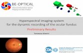 Hyperspectral imaging system for the dynamic recording of ... Hyperspectral imaging system. for the.