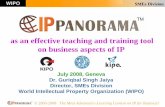 as an effective teaching and training tool on business ... · Dr. Guriqbal Singh Jaiya Director, SMEs Division World Intellectual Property Organization (WIPO) as an effective teaching