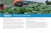 Balancing BenefitsBalancing Benefits in Agriculture SNV’s “Balancing Benefits in Agriculture” is a transformative gender approach applied across multiple solutions, integrating