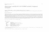 Damage analysis of CFRP under impact fatiguedownloads.hindawi.com/journals/sv/2012/380823.pdf · Shock and Vibration 19 (2012) 573–584 573 DOI 10.3233/SAV-2011-0651 IOS Press Damage