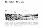 British Birds · British Birds VOLUME 83 NUMBER 4 APRIL 1990 Breeding biology of the Grasshopper Warbler in Britain David E. Glue Secretive, mouse-like, with a boldly striated plumage