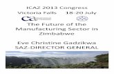 The Future of the Manufacturing Sector in Zimbabwe · 2015-04-27 · Impact of economic crisis to Manufacturing sector • For manufacturing industry-localindustry has to compete