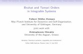 Bruhat and Tamari Orders in Integrable Systemstheory.fi.infn.it/SMIC/Talks/06_11_Mueller-Hoissen.pdf · ContentsKdV and BruhatBruhat ordersTamari Orders B(3;1) and YBSimplex equationsPolygon